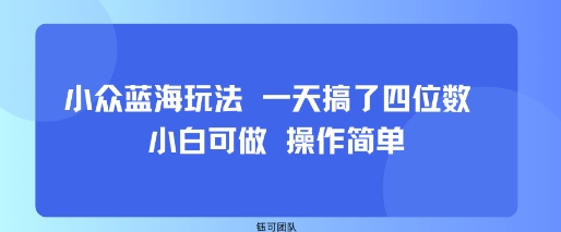 小众蓝海玩法 一天搞了四位数 小白可做 操作简单-汇课新知资源网