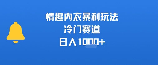 情趣内衣暴利玩法，冷门赛道，日入1k+-汇课新知资源网