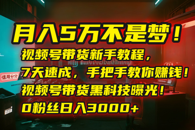 月入5万不是梦！视频号带货新手教程，7天速成，手把手教你赚钱！视频号…-汇课新知资源网