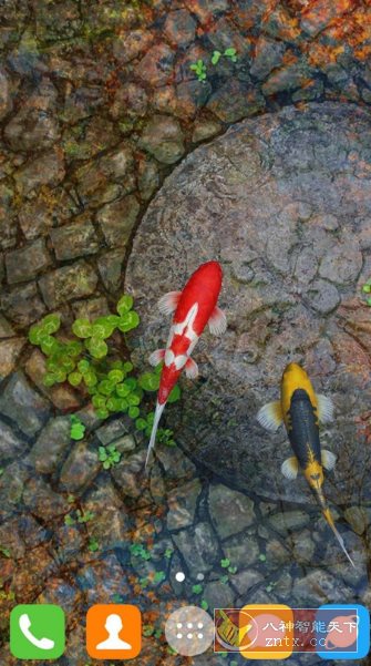 Water Garden Live Wallpaper 锦鲤3D动态壁纸2.05专业版-汇课新知资源网