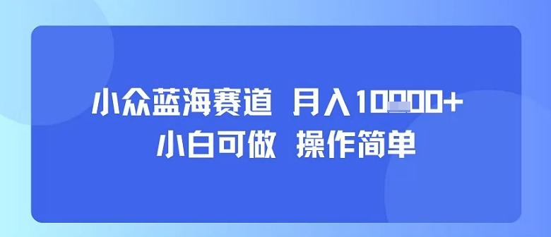 小众蓝海赛道，小白可做，操作简单，每天30分钟，月入1W+-汇课新知资源网