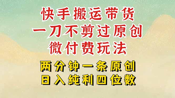 快手黑科技搬运带货，一刀不剪过原创，微付费投流玩法，轻松日入四位数…-汇课新知资源网