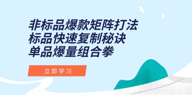 非标品爆款矩阵打法，标品快速复制秘诀，单品爆量组合拳-汇课新知资源网