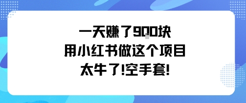一天挣了9张用小红书做这个项目太牛了,空手套-汇课新知资源网