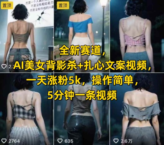 全新赛道，AI美女背影杀+扎心文案视频，一天涨粉5k，操作简单，5分钟一条视频-汇课新知资源网