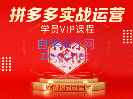 推易电商·拼多多实战运营课(更新2025月)-汇课新知资源网
