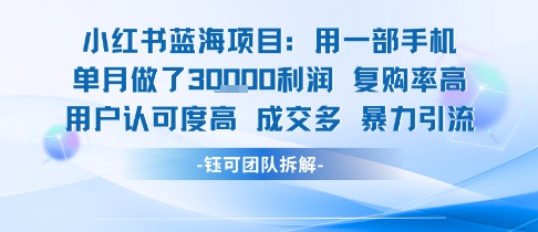小红书蓝海项目，一部手机单月做了3W利润，小白也能月入过1W用户认可度高成交多-汇课新知资源网
