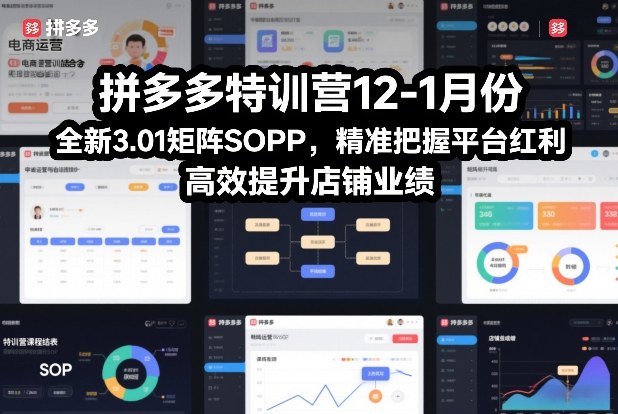 拼多多特训营12-1月份,全新3.01矩阵Sop,精准把握平台红利,高效提升店铺业绩-汇课新知资源网