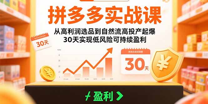 拼多多实战课：从高利润选品到自然流高投产起爆 30天实现低风险可持续盈利-汇课新知资源网