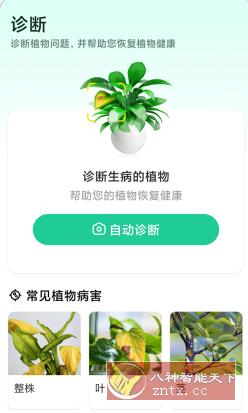 Plant Parent 植物养护v1.101高级版-汇课新知资源网