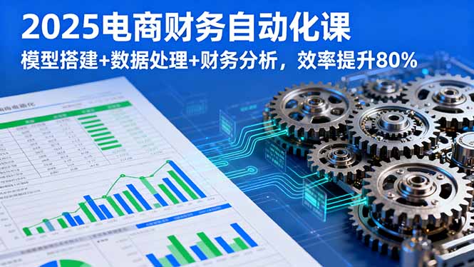 2025电商财务自动化课,模型搭建+数据处理+财务分析,效率提升80%-汇课新知资源网