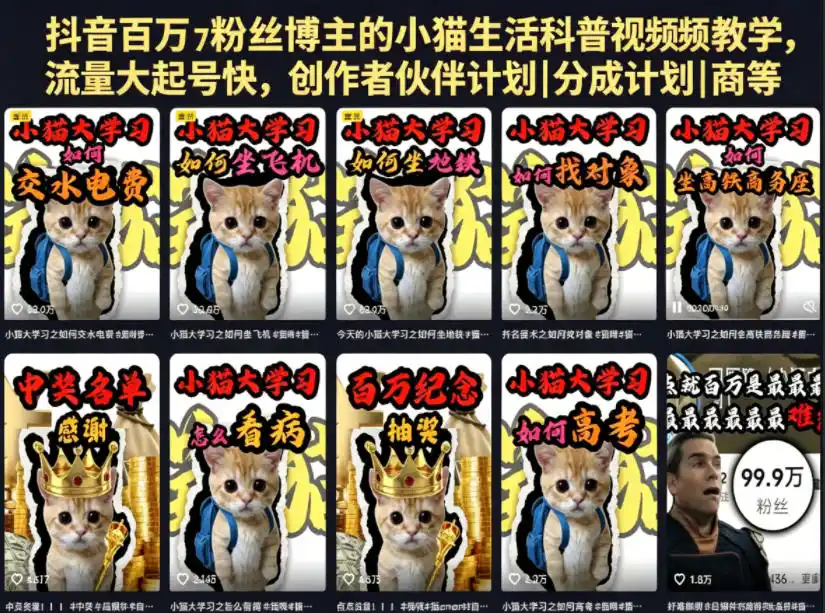 抖音百万粉丝博主的小猫生活科普视频教学，流量大起号快，创作者伙伴计划|分成计划|商单|收徒等-汇课新知资源网