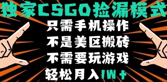 CSGO自动捡漏项目，最新独家玩法，不是美区搬砖，不需要了解和玩游戏，新手小白轻松月入1W+【揭秘】-汇课新知资源网