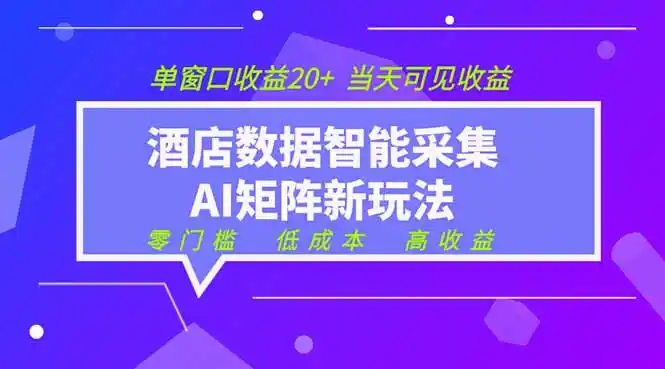 2026酒店数据采集ai智能矩阵新风口 低成本 高收益 当天见收益 单窗口20+-汇课新知资源网