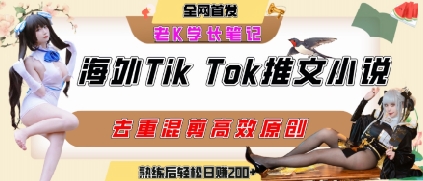 海外tiktok小说推文暴力项目，高停留率，高转化率，上手后一天搞顿饭钱不是问题-汇课新知资源网
