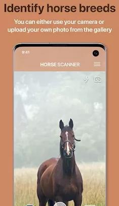 Horse Scanner 马鉴定器v12.1.0高级版-汇课新知资源网