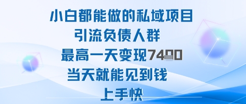 2025年小白都能做的私域项目引流负债人群最高一天变现1k+高变现难度低当天就能见到钱上手快-汇课新知资源网
