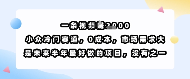 一条视频挣1k，小众冷门赛道，0成本，市场需求大，是未来半年最好做的项目，没有之一-汇课新知资源网