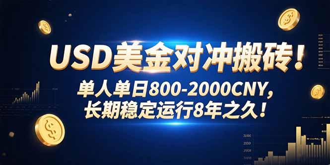 USD美金对冲搬砖!单人单日800-2000CNY，长期稳定运行8年之久!-汇课新知资源网