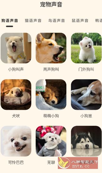 哆啦猫狗翻译器1.2.6高级版-汇课新知资源网