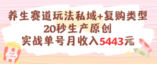养生赛道玩法私域+复购类型，20秒生产原创实战单号月收入5k+-汇课新知资源网