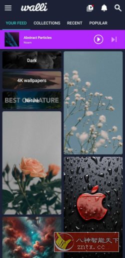 Walli Pro 4K壁纸 2.12.89高级版-汇课新知资源网