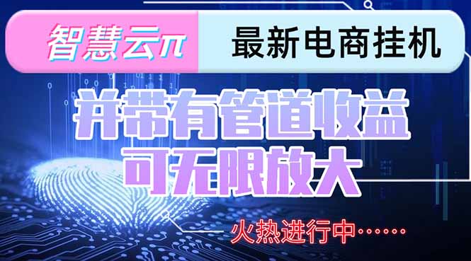 智慧云π电脑挂机单机每天收益300—500+ 并带有团队管道收益 可无限放大-汇课新知资源网