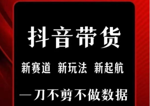 抖音短视频一刀不剪带货，不剪辑，不直播，每天发个视频，等着出单获取带货佣金-汇课新知资源网
