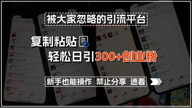 被大家忽略的引流平台，复制粘贴轻松日引300+创业粉，新手也能操作，禁…-汇课新知资源网