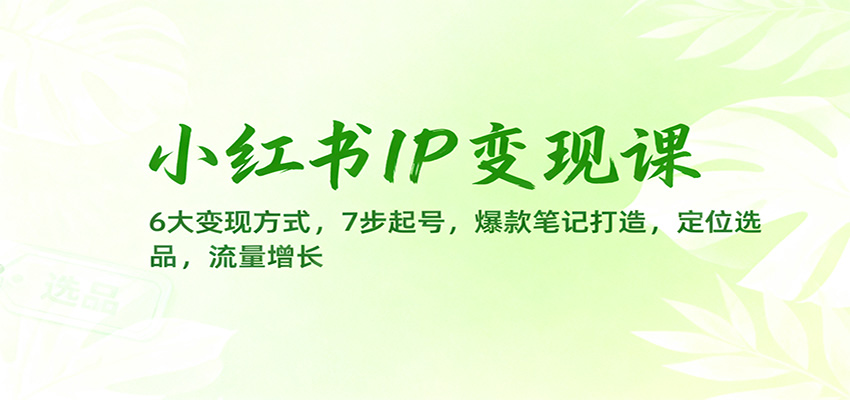 小红书IP变现课：6大变现方式，7步起号，爆款笔记打造，定位选品，流量增长-汇课新知资源网