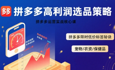 拼多多选品暴利技术实战课，拼多多高利润选品策略，拼多多限时低价标签秘诀-汇课新知资源网