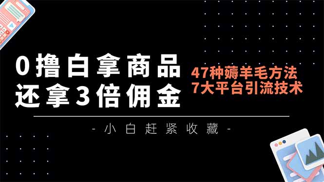 0撸白拿商品,还拿3倍佣金,47种薅羊毛方法,7大平台全方位引流技术教学,精专月入过万-汇课新知资源网