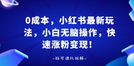 0成本，小红书最新玩法，小白无脑操作，快速涨粉变现-汇课新知资源网