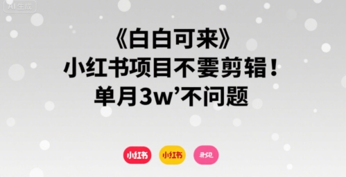 小白可来 小红书项目不需要剪辑 单月3w不是问题-汇课新知资源网