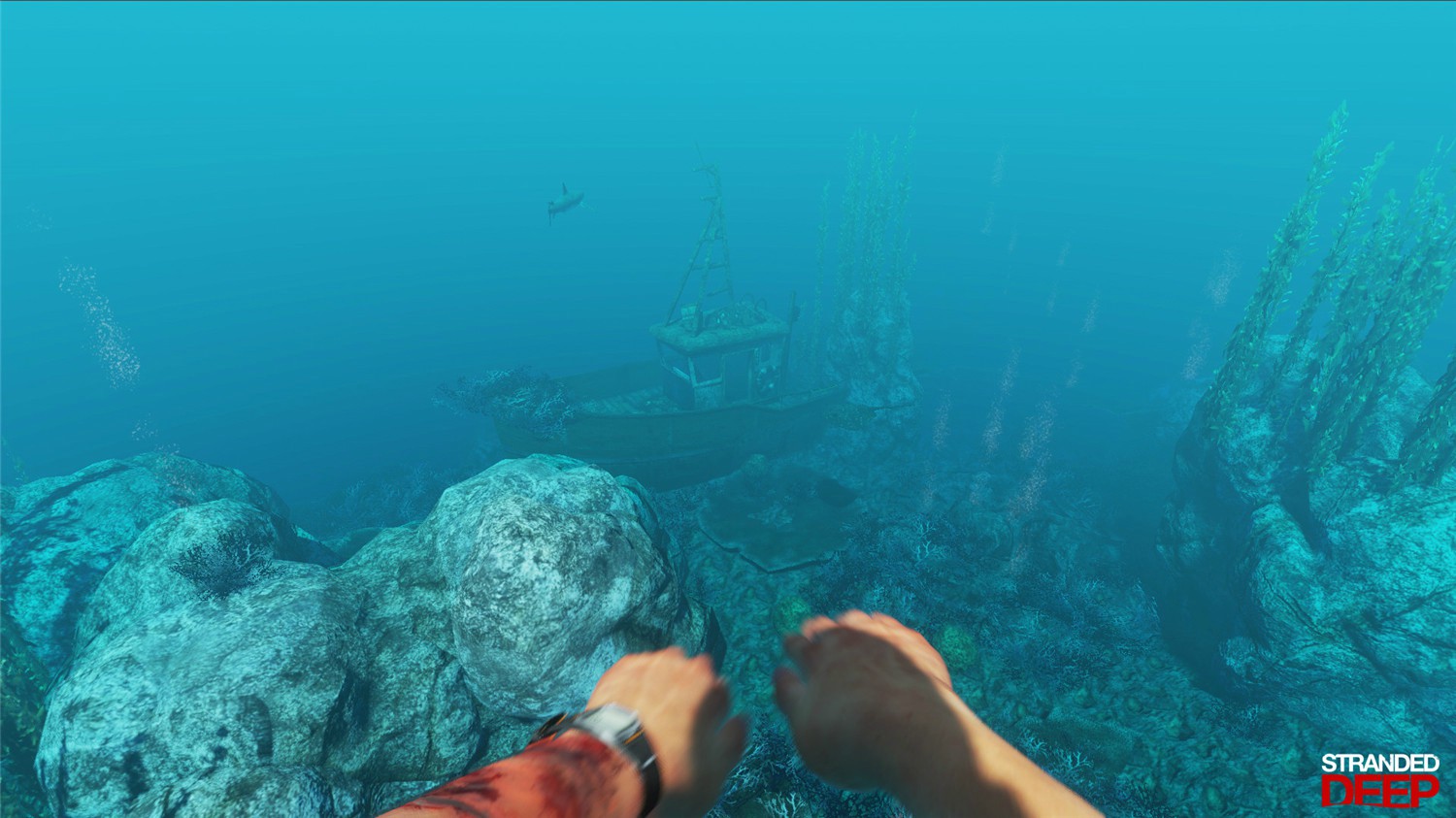 《荒岛求生》v1.0.38.0.29汉化版-趣奇资源网-第11张图片