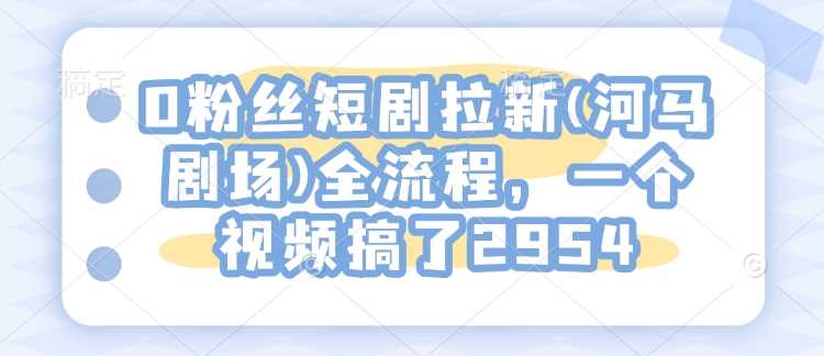 0粉丝短剧拉新(河马剧场)全流程,一个视频搞了2954-汇课新知资源网