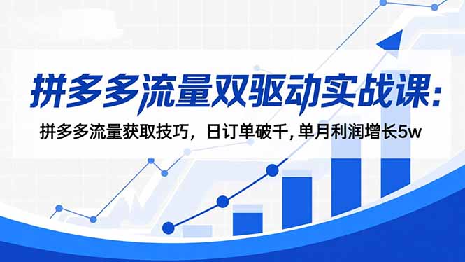 拼多多流量双驱动实战课:拼多多流量获取技巧,日订单破千,单月利润增长5w-汇课新知资源网