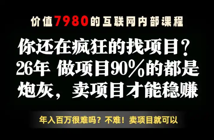 26年请不要疯狂的找项目了,卖项目远比你想象的暴利,你也可以月入10W+【揭秘】-汇课新知资源网
