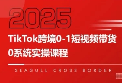 大亿老师·TikTok跨境0-1短视频带货-汇课新知资源网