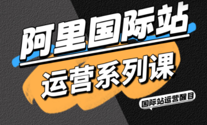 醒目老师·阿里国际站运营系列课(更新11月)-汇课新知资源网