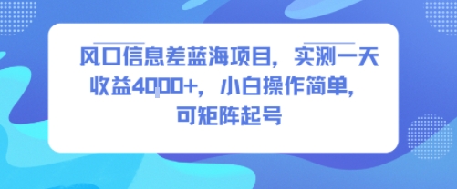 风口信息差蓝海项目，实测一天收益4k+，小白操作简单，可矩阵起号-汇课新知资源网
