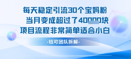 每天稳定引流30个人 当月变成超过了4个W项目流程非常简单适合小白-汇课新知资源网