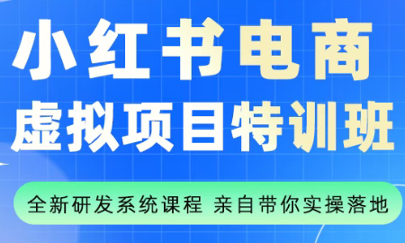 陆明明·小红书虚拟项目特训班(更新9月)-汇课新知资源网