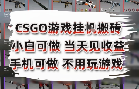 CSGO游戏挂G搬砖，小白纯手机即可操作，不用电脑打游戏，日入3张+，副业网创项目【揭秘】-汇课新知资源网