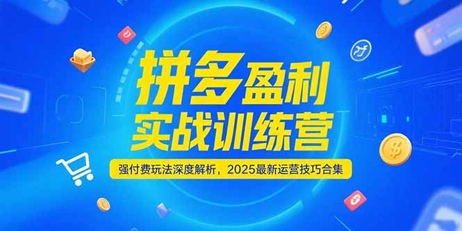拼多多盈利实战训练营，强付费玩法深度解析，2025运营技巧合集-更新6月-汇课新知资源网