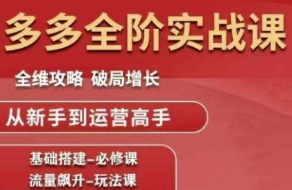 拼多多全阶实战课程，全维攻略，破局增长，从新手到运营高手-汇课新知资源网