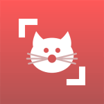 Cat Scanner 猫猫鉴定器v22.2.21-G高级版-汇课新知资源网