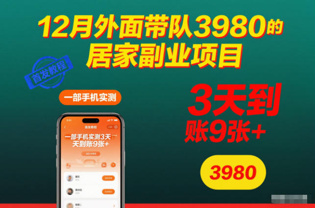 12月外面带队3980的居家副业项目，一部手机实测3天到账9张+，首发教程【揭秘】-汇课新知资源网