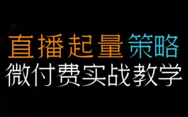 半野老师·直播带货起量与微付费必学课视频号-汇课新知资源网