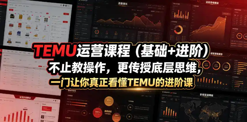 TEMU运营课程(基础+进阶)，不止教操作，更传授底层思维，一门让你真正看懂TEMU的进阶课-汇课新知资源网